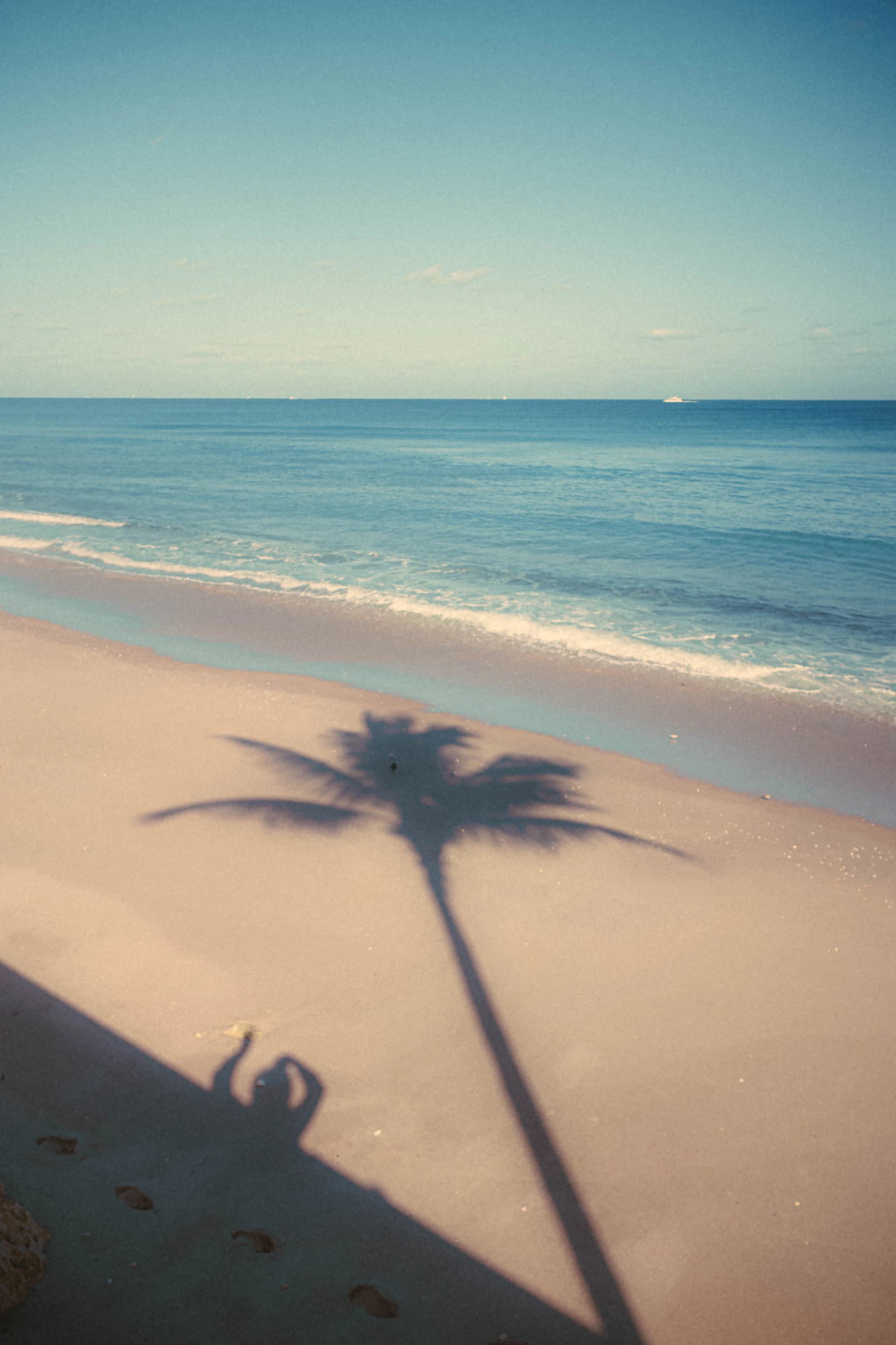 La sombra de una palmera sobre la arena junto al mar